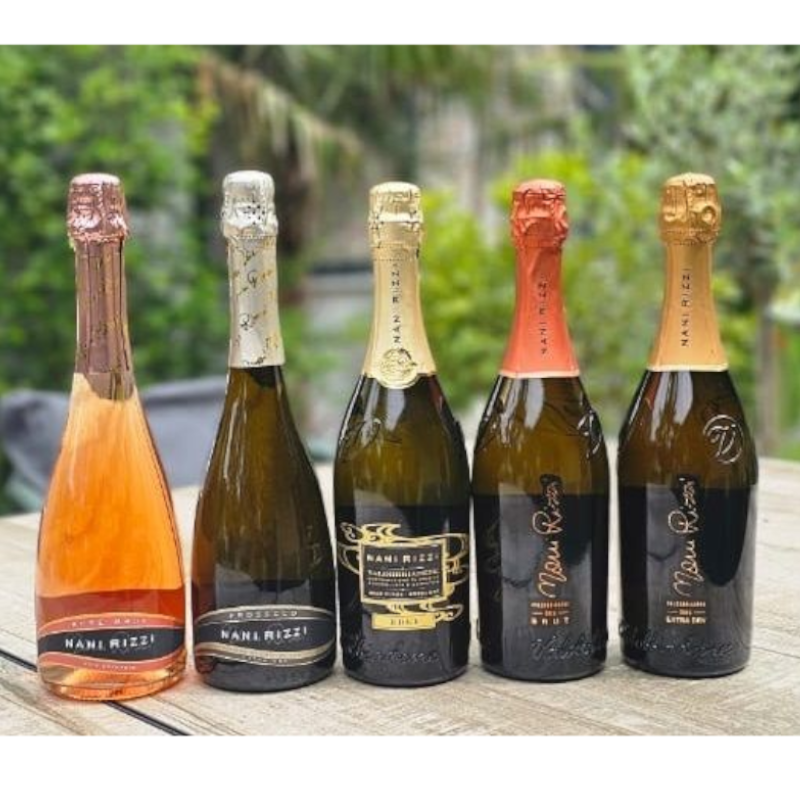 Nani Rizzi Probierpaket 5 x 0,75L - Vinogina
