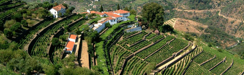 Quinta do Noval Nova de Gaia